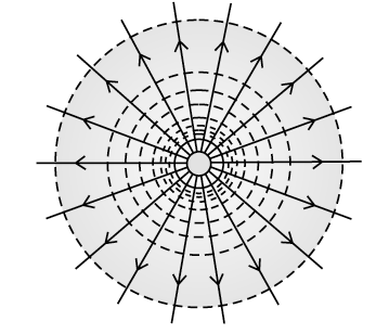 Question 2 Answer-Image